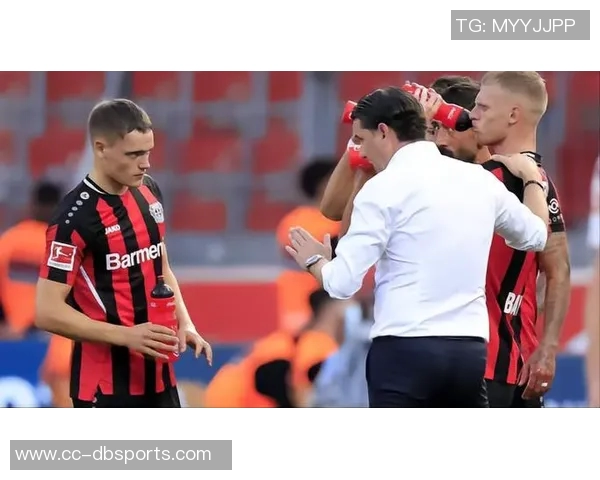 灵魂画手挑战赛维尔茨与弗林蓬联手画出神秘队友是谁呢