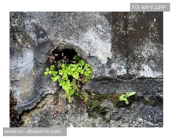 里德寄语年轻人:调整心态别自我否定学会宽容对待自己 里德寄语年轻人:调整心态别自我否定学会宽容对待自己